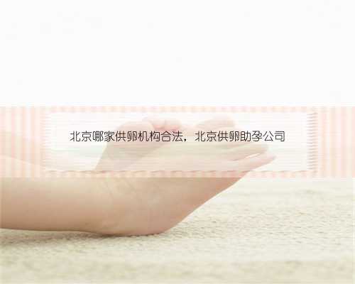 北京哪家供卵机构合法，北京供卵助孕公司