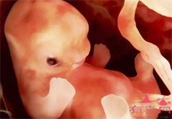 借卵生子成功率非常高,武汉三代试管婴儿高龄生子