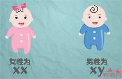 武汉捐卵代价，武汉试管婴儿医院排名？武汉试管助孕成功率费用指南？