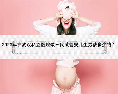 2023年在武汉私立医院做三代试管婴儿生男孩多少钱？